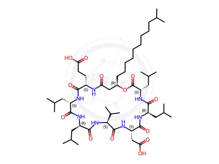 Chemical structure of Surfactin