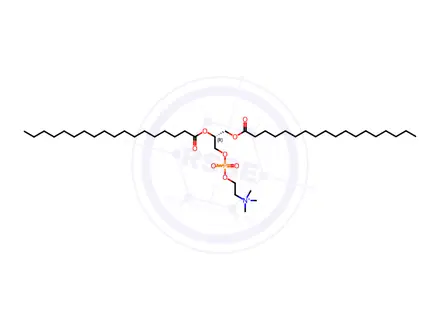 Chemical structure of Distearoyl Phosphatidylcholine