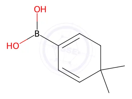 Chemical structure of (4,4-Dimethylcyclohexa-1,5-dien-1-yl)boronic acid
