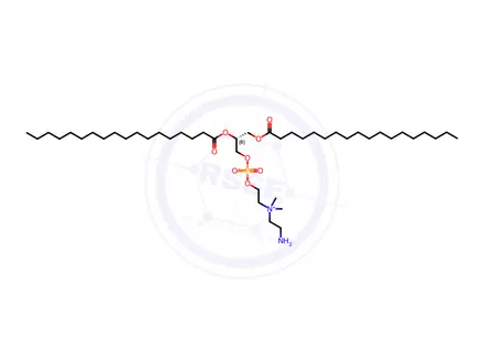 Chemical structure of 18:0 aminoethyl PC