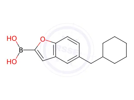 Chemical structure of (5-(Cyclohexylmethyl)benzofuran-2-yl)boronic acid