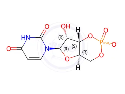 Chemical structure of Uridine-3',5'-cyclic Monophosphate Sodium Salt
