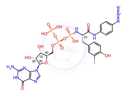 Chemical structure of guanosine 5'-(trihydrogen diphosphate)-N-(4-azidophenyl)-2-phosphoramido-3-(4-hydroxy-3-iodophenyl)propionamide monoanhydride