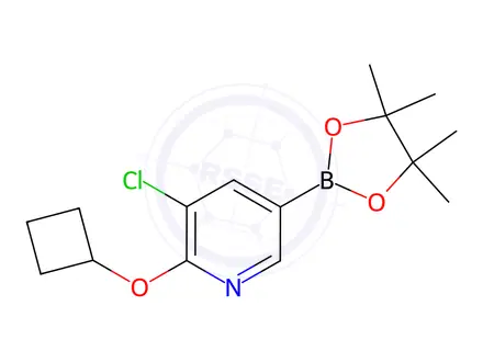 Chemical structure of 3-Chloro-2-cyclobutoxy-5-(4,4,5,5-tetramethyl-1,3,2-dioxaborolan-2-yl)pyridine