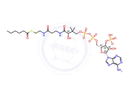 Chemical structure of HEXANOYL COENZYME A TRILITHIUM SALT