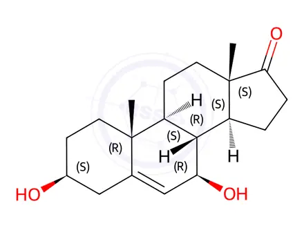 Chemical structure of 7β-Hydroxy-DHEA