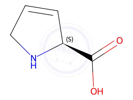 Chemical structure of 3,4-Dehydro-L-proline hydrochloride