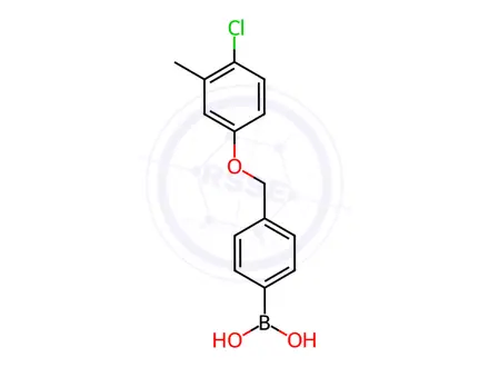 Chemical structure of (4-((4-Chloro-3-methylphenoxy)methyl)phenyl)boronic acid