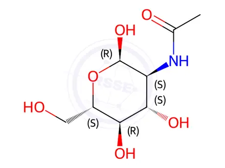 Chemical structure of Chitin