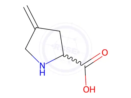 Chemical structure of (S)-4-Methylenepyrrolidine-2-carboxylic acid