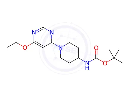 Chemical structure of [1-(6-Ethoxy-pyriMidin-4-yl)-piperidin-4-yl]-carbaMic acid tert-butyl ester