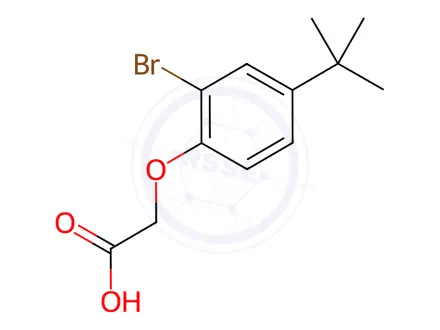 Chemical structure of 2-[2-Bromo-4-(tert-butyl)phenoxy]acetic acid