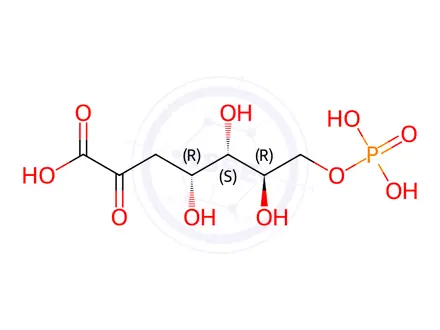 Chemical structure of Vitamin C Impurity 20