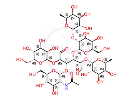 Chemical structure of Lacto-N-difucohexaose I Solution in Water