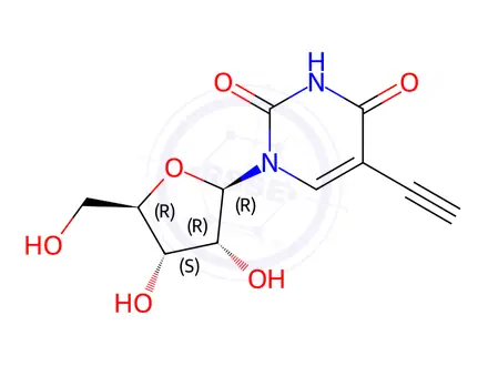 Chemical structure of 5-Ethynyluridine