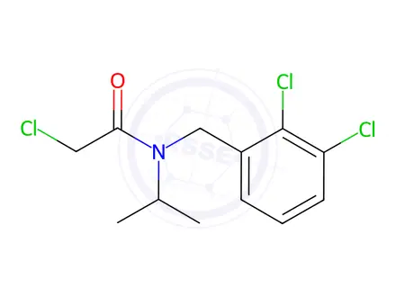 Chemical structure of 2-Chloro-N-(2,3-dichlorobenzyl)-N-isopropylacetamide