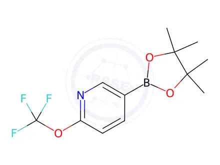 Chemical structure of 6-TrifluoroMethoxypyridine-3-boronic acid pinacol ester