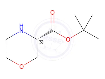 Chemical structure of Tert-butyl (S)-morpholine-3-carboxylate hydrochloride