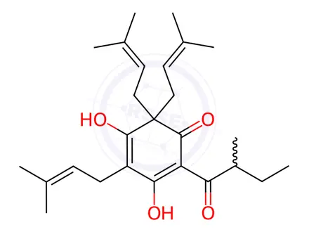 Chemical structure of Phloroglucinol