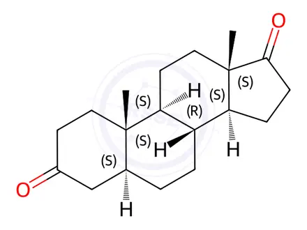 Chemical structure of 5α-Androstanedione