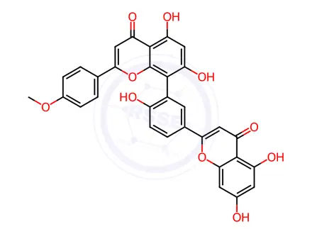 Chemical structure of Podocarpusflavone A