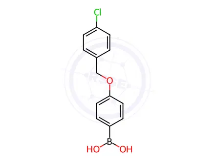 Chemical structure of (4-((4-Chlorobenzyl)oxy)phenyl)boronic acid