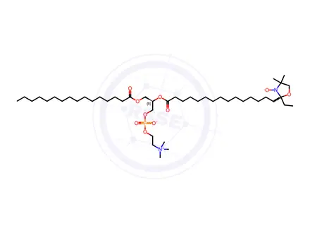 Chemical structure of 16:0-16 Doxyl PC