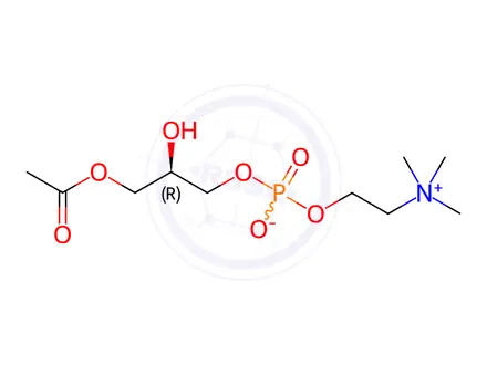 Chemical structure of L-α-Lysophosphatidylcholine