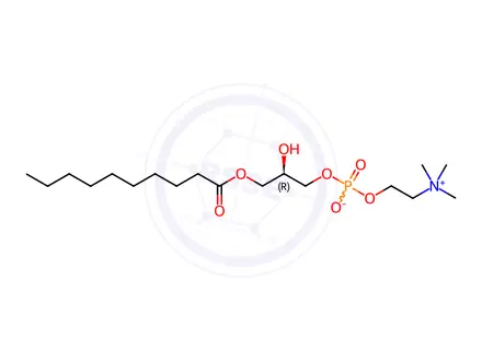 Chemical structure of 10:0 Lyso PC