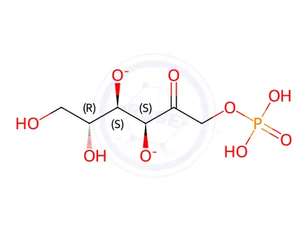 Chemical structure of D-Fructose-1-phosphate disodium salt