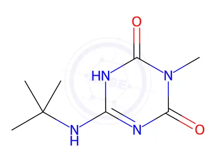 Chemical structure of 6-(tert-Butylamino)-3-methyl-1,3,5-triazine-2,4(1H,3H)-dione