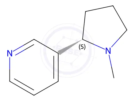 Chemical structure of Nicotine lactate