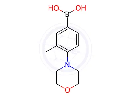 Chemical structure of 3-Methyl-4-morpholinophenylboronic acid