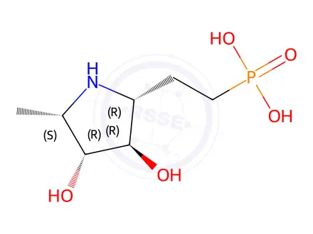 Chemical structure of Phosphonic acid, [2-[(2R,3R,4R,5S)-3,4-dihydroxy-5-methyl-2-pyrrolidinyl]ethyl]-(9CI)
