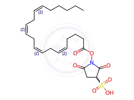 Chemical structure of 1-[(5Z,8Z,11Z,14Z)-icosa-5,8,11,14-tetraenoyloxy]-2,5-dioxopyrrolidine-3-sulfonic acid