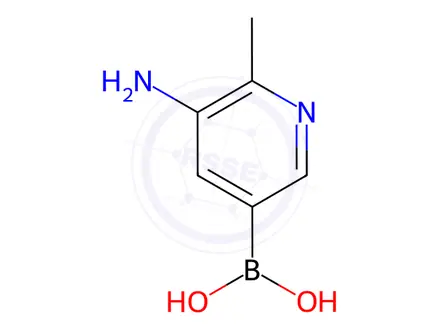 Chemical structure of (5-Amino-6-methylpyridin-3-yl)boronic acid