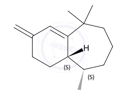 Chemical structure of (9S,9aS)-5,5,9-trimethyl-3-methylene-2,3,5,6,7,8,9,9a-octahydro-1H-benzo[7]annulene