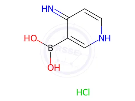 Chemical structure of (4-Imino-1,4-dihydropyridin-3-yl)boronic acid hydrochloride