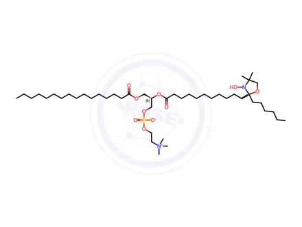 Chemical structure of 16:0-12 Doxyl PC