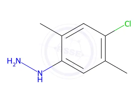 Chemical structure of Hydrazine, (4-chloro-2,5-dimethylphenyl)-(9CI)