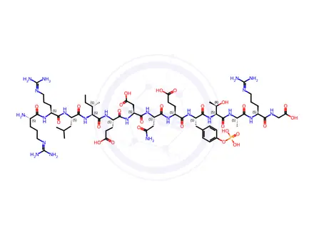 Chemical structure of pp60 (v-src) autophosphorylation site, phosphorylated