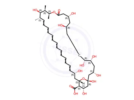Chemical structure of Amphotericin B Impurity 6