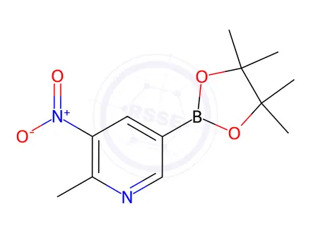Chemical structure of 2-Methyl-3-nitro-5-(4,4,5,5-tetraMethyl-[1,3,2]dioxaborolan-2-yl)-pyridine