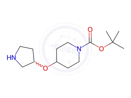 Chemical structure of tert-Butyl 4-(pyrrolidin-3-yloxy)piperidine-1-carboxylate