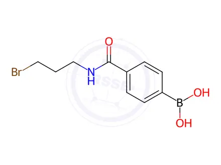 Chemical structure of (4-((3-Bromopropyl)carbamoyl)phenyl)boronic acid