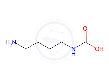 Chemical structure of (4-Aminobutyl)carbamic acid