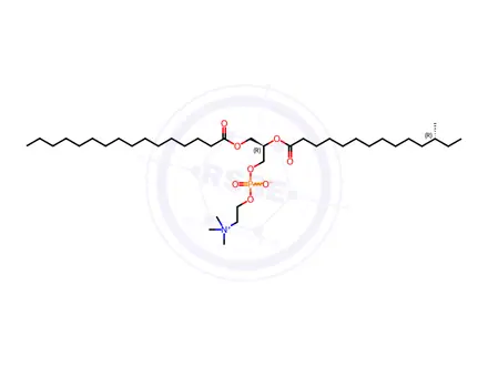 Chemical structure of 16:0-a15:0 PC