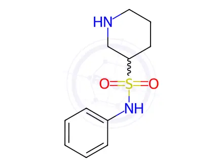 Chemical structure of N-phenylpiperidine-3-sulfonamide hydrochloride