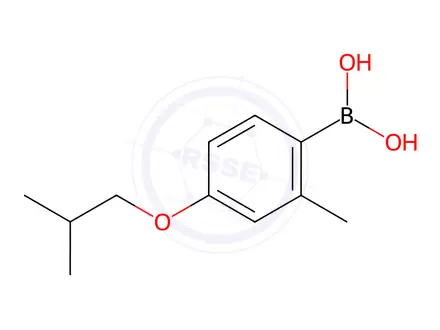 Chemical structure of (4-isobutoxy-2-methylphenyl)boronic acid