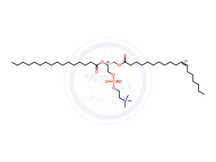 Chemical structure of 18:1(n7)-16:0 PC-IsoPure